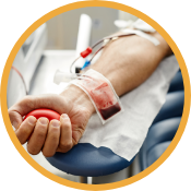 Blood transfusion_AdobeStock_506240940